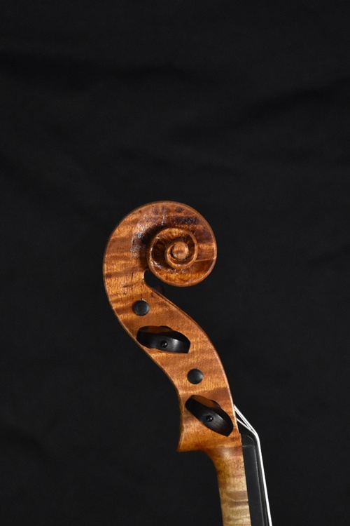 2025年 製作(VIOLA)