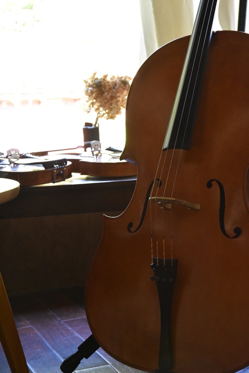 2024年 製作(VIOLA)
