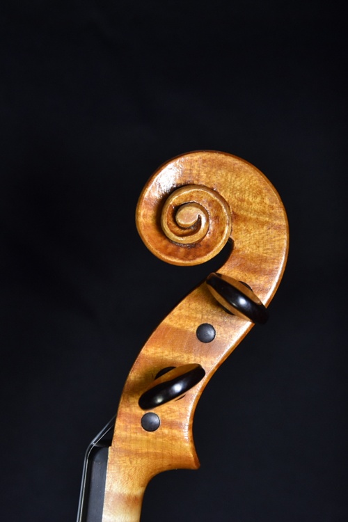 2025年 製作(VIOLA)