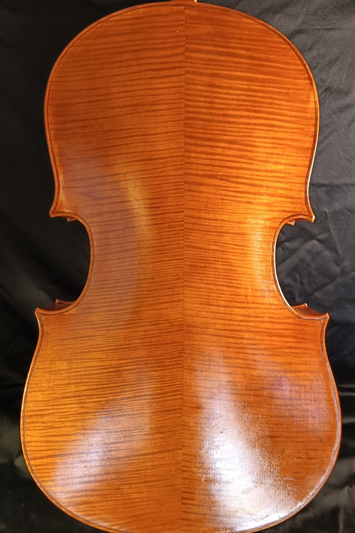 2024年 製作(VIOLA)